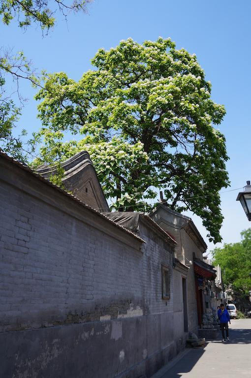 Songy Hundred-Year Courtyard Hotel Beijing Eksteriør billede